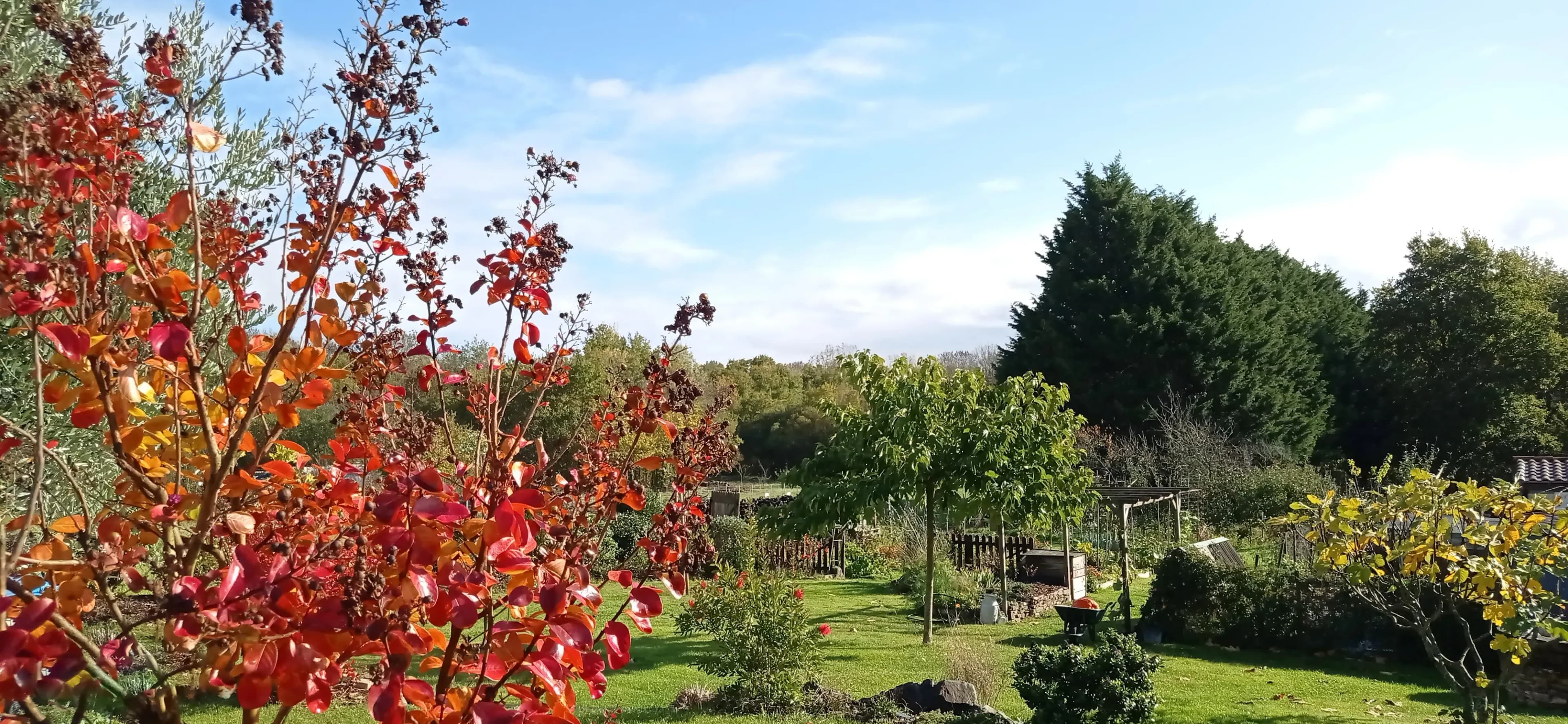 Paysagiste background