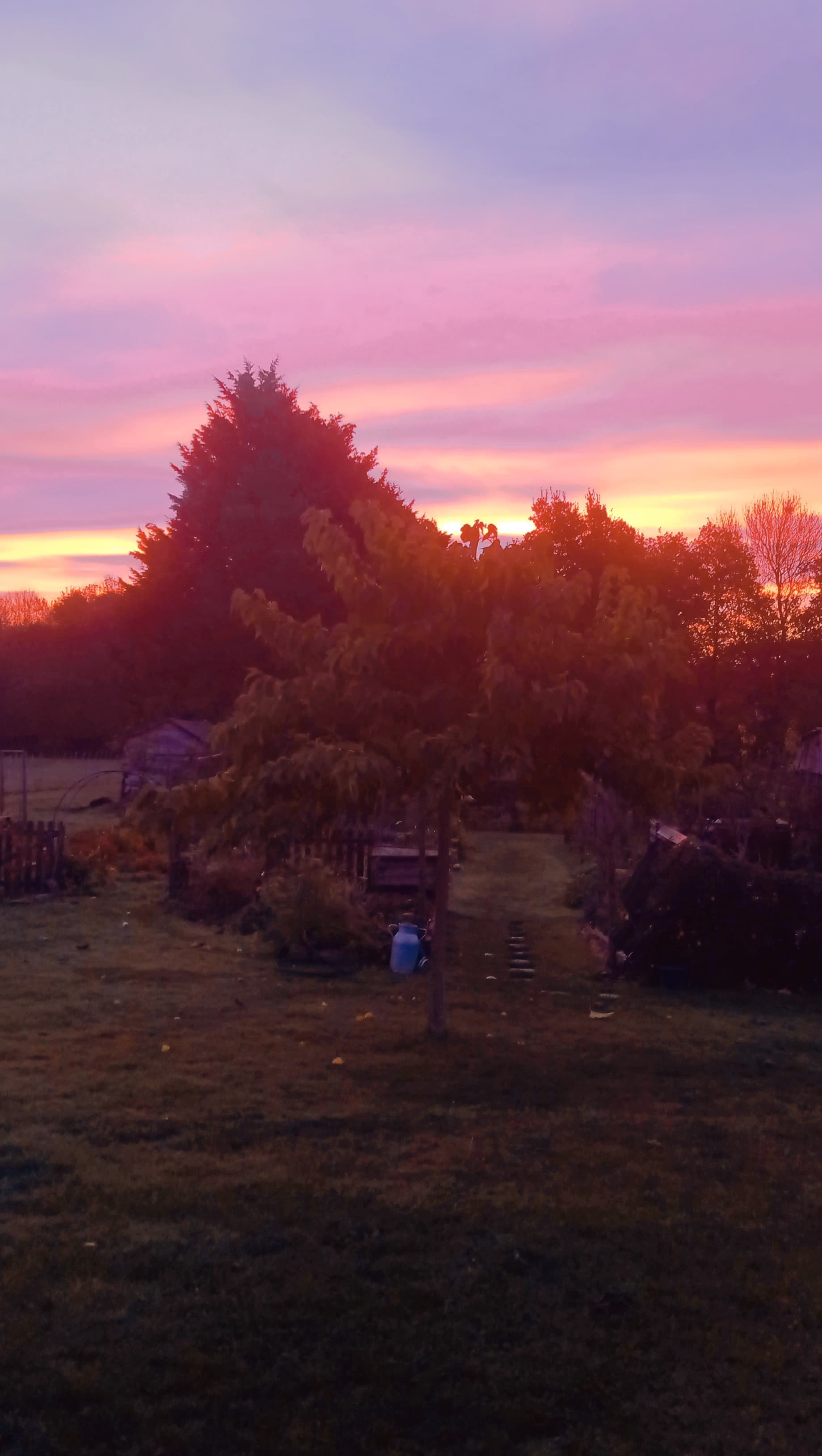 Potager Écologique & Permaculture