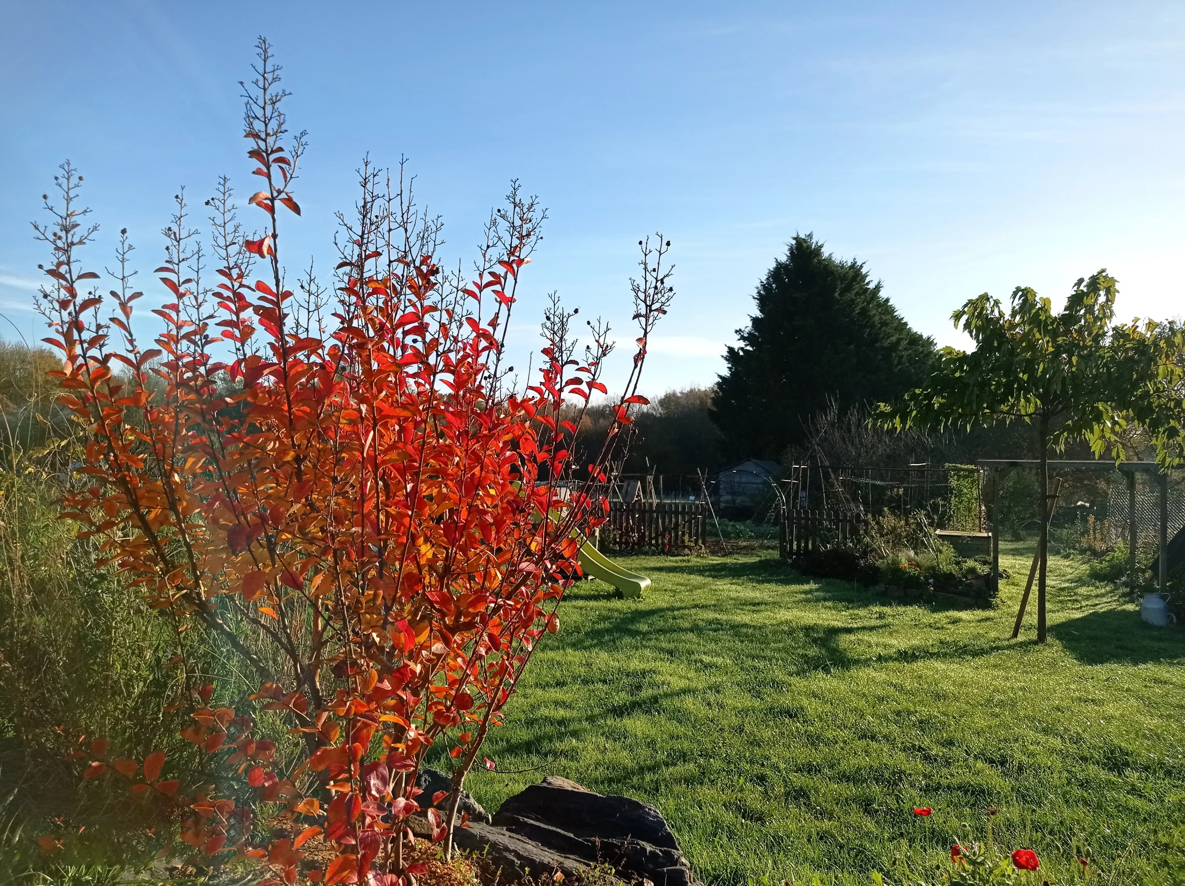 Processus de crédit d'impôt